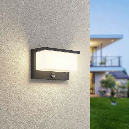 Trio Lighting Wandmontiertes Außenbeleuchtung mit Beschattung 23x12x15cm