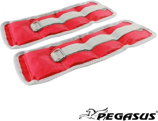 Pegasus Βαράκια Άκρων 2 x 1.5kg