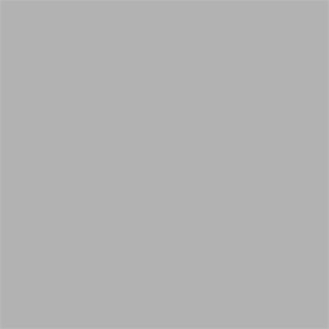 Superior Photography Backdrop Paper 72 Fossil Gray 2.72 X 11m