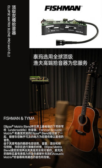 Tyma Tf-28 Fishman Ellipse Acoustic Guitar