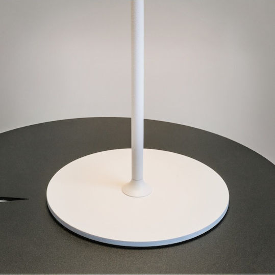 Maytoni Table Lamp LED with White Shade and Base