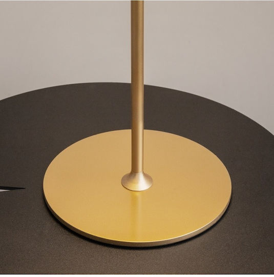 Maytoni Table Lamp LED with Gold Shade and Base