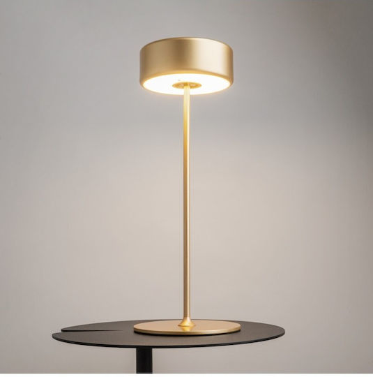 Maytoni Table Lamp LED with Gold Shade and Base