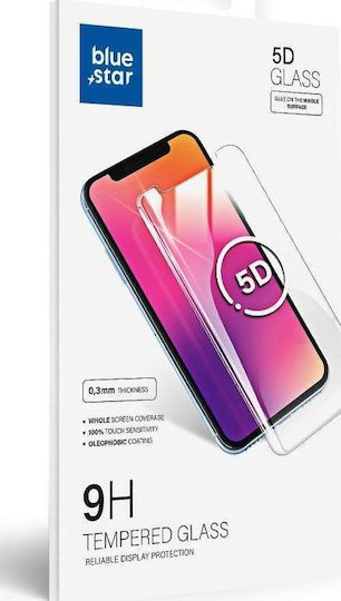 Blue Star Full Glue Full Face Tempered Glass (Huawei Mate 20 Pro)
