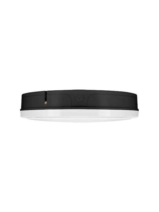 Ledvance Deckenleuchte 30cm LED
