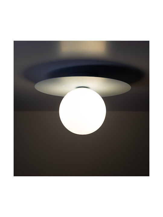 TK Lighting Πλαφονιέρα 25εκ.