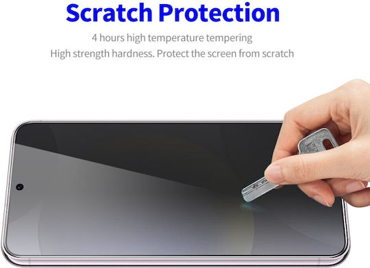 Anti-spy Vollkleber Privatsphäre Vollflächig gehärtetes Glas (Galaxy S24+)
