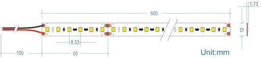 Cubalux Ταινία LED Jazz 24V 15m