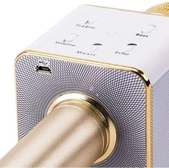 Microfon Karaoke Wireless DLSF3SMBM Auriu