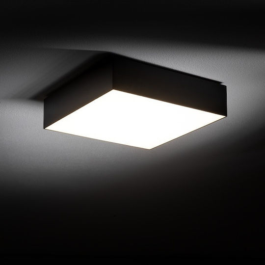 Nowodvorski Panou LED 25W