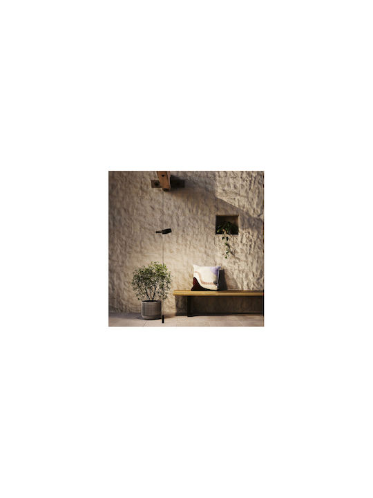 Zafferano Waterproof Outdoor Ceiling Light with Integrated LED in Black Color LD1157N3