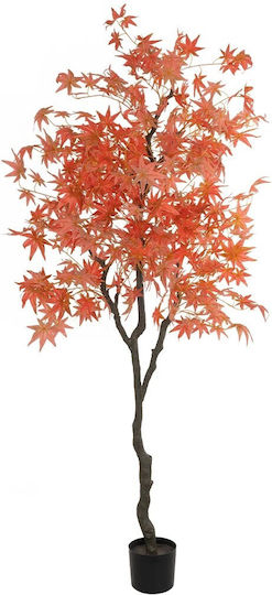 Maple Outdoor Tree Orange GloboStar