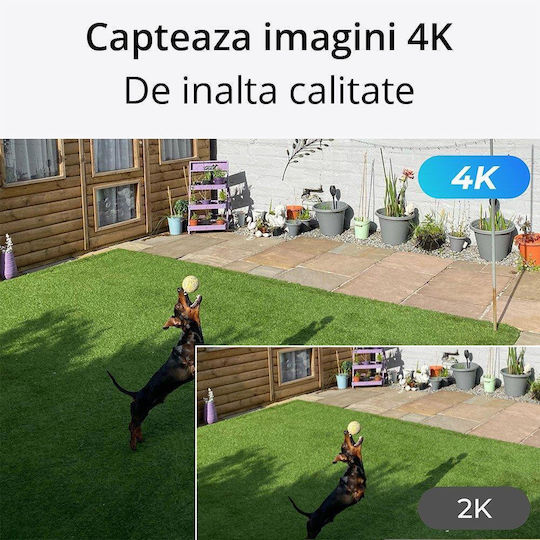 Reolink Überwachungssystem 4 Kameras Drahtlose Kameras IP 8MP mit Rekorder NVR