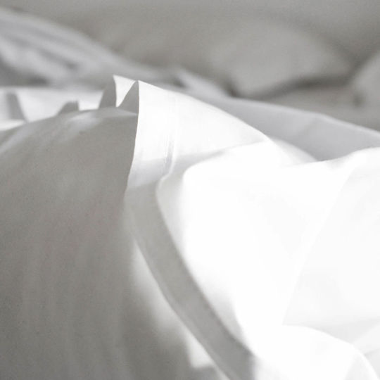 Hotel Sheet Plain Euroria 1 Piece White 170x270cm 100% Cotton 225tc Lindeluxe