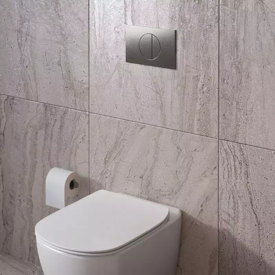 Ideal Standard Oleas Flush Plate Dual Flush