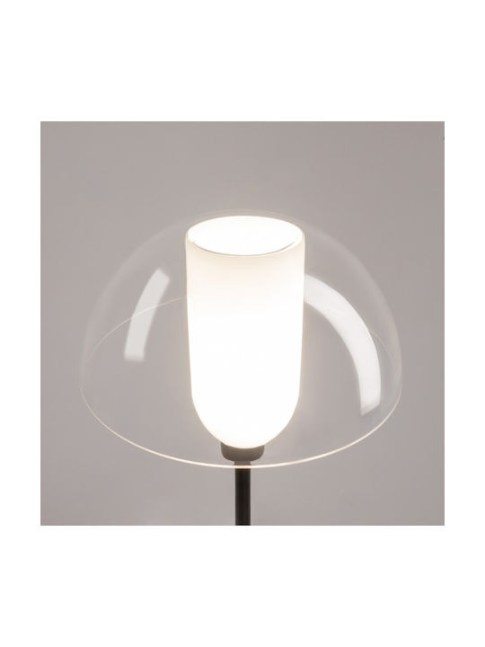 Maytoni Stehleuchte mit Fassung für Lampe E14 Schwarz