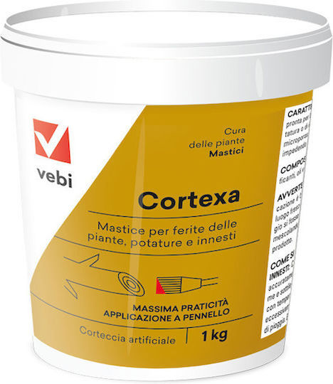 Mastic de altoire Cortexa 1kg