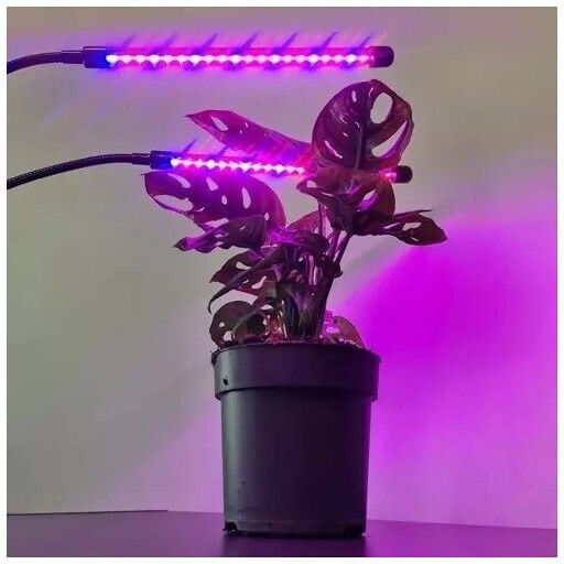 Gardlov Επιτραπέζιο Grow Light με 40 LED και Ισχύ 9W Μ68xΒ12xΥ7εκ.
