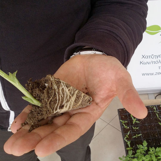 Zeolite Up to 0.8 Millimeters – Powder Ideal for Livestock Use Famiqs Certification Incorporation Small Scale Crops 25 Kilograms
