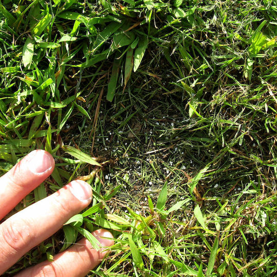 Zeolite 0.8 to 2.5 Millimeters Fine Gravel Ideal for Incorporation Small-Scale Crops 25 Kilograms