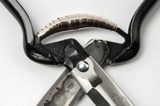 Shears For Sheep Shearing Greek