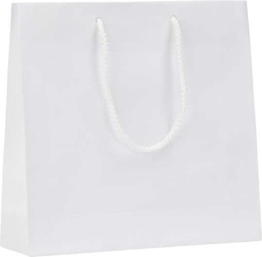 Paper Bag Matte Laminated White Rope Handle 43x15x36 100pcs