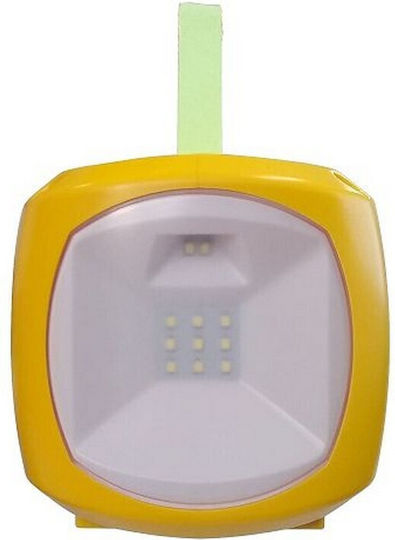 Solar Lantern 2 Panel