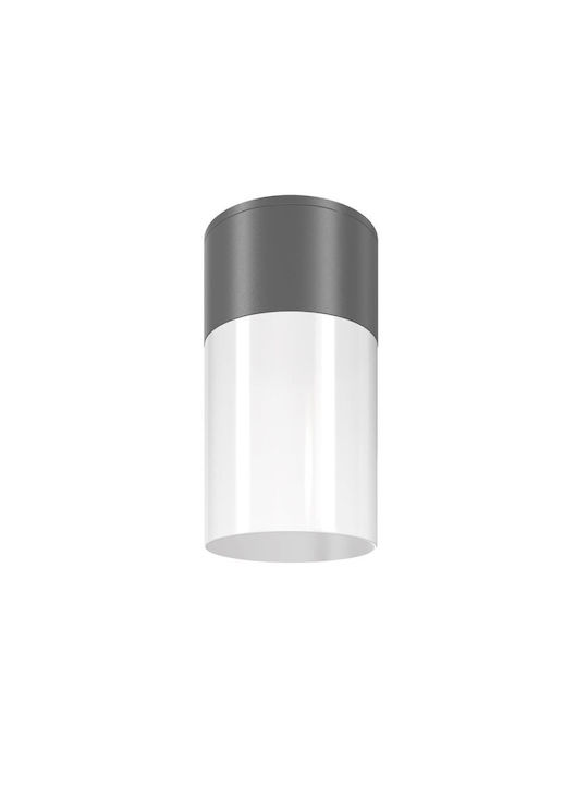Φωτιστικό Οροφής Αλουμίνιο Willis H14 Φ8 Maytoni O418cl-01b Μαύρο