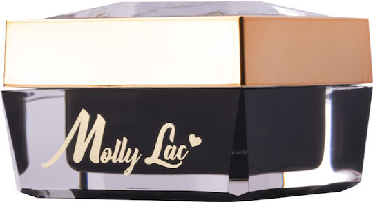 Disco Flashing Anniversary Spider Gel Mollylac 3g