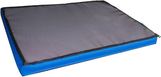 Covoraș De Curățare Și Dezinfectare Pentru Încălțăminte 60x90cm Înălțime 4cm