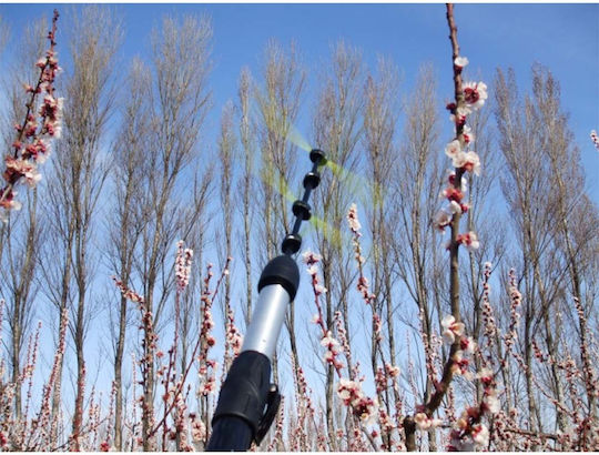 Cap De Diluție Pentru Florile Pomilor Fructiferi Ecb Diluant Ec1700 Coada Epav2 Infaco Electrocoup Ecbv2