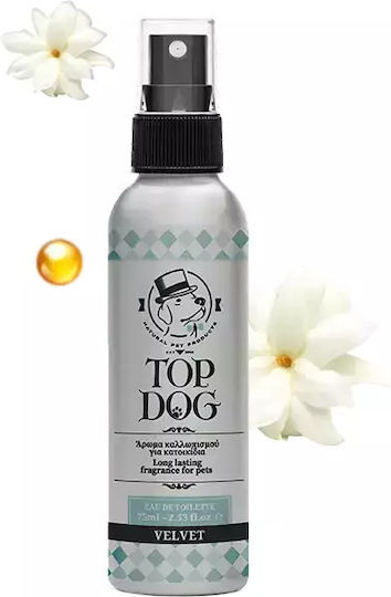 Top Dog 75ml