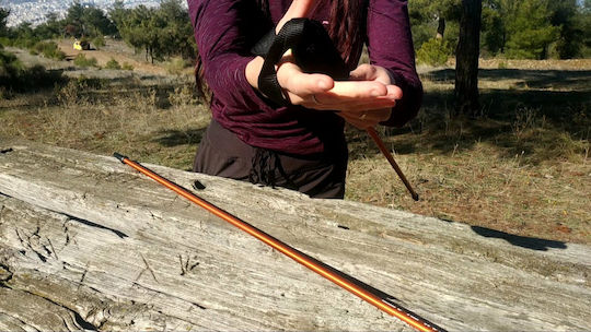 Trekking Poles Mountain King Black Trail Blaze Poles Black