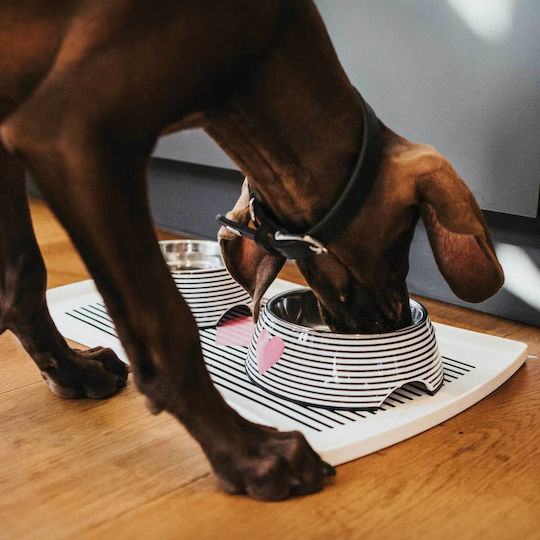 Hunter Stainless Steel Bowl Food for Dog 700ml Multicolour