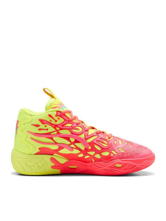 Niedrig Basketballschuhe Mehrfarbig