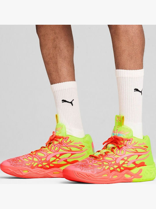 Niedrig Basketballschuhe Mehrfarbig
