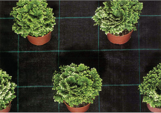 3m Ground Cover Fabric Price Per Meter 0007