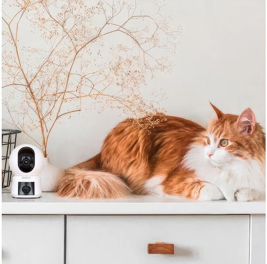 Arenti P3TT-EU IP Dual Κάμερα Παρακολούθησης Wi-Fi Full HD+ 4MP με Αμφίδρομη Επικοινωνία