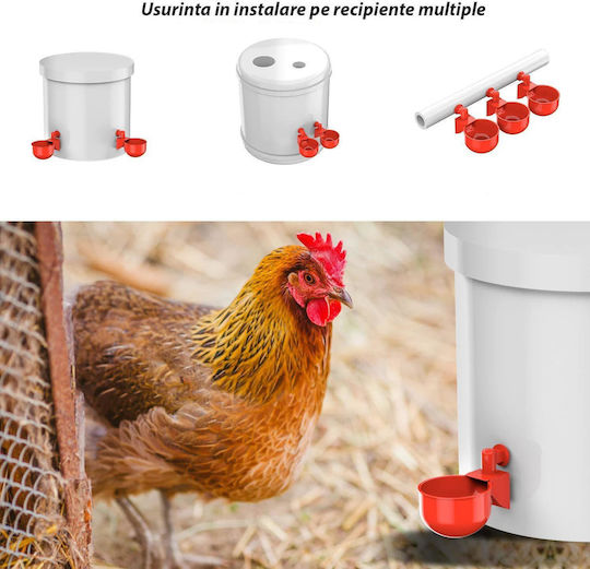 Ποτίστρα Πτηνών