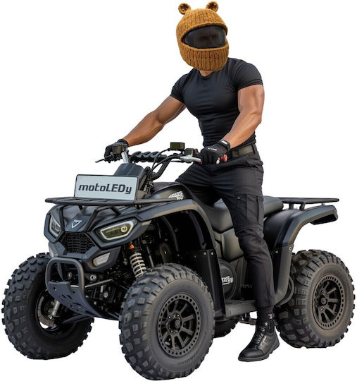 Bear Rider Helmet Cap