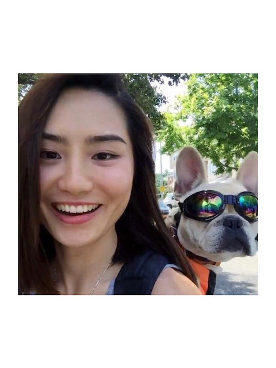 Dog Sunglasses K9 Sport Shades Black K9 Sportsack