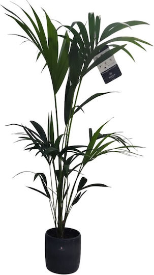 Mystic Plant Pot Gray Mystic Plant Pot Gray