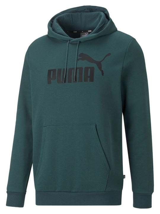 Big Logo Sweatshirt with Hood Green