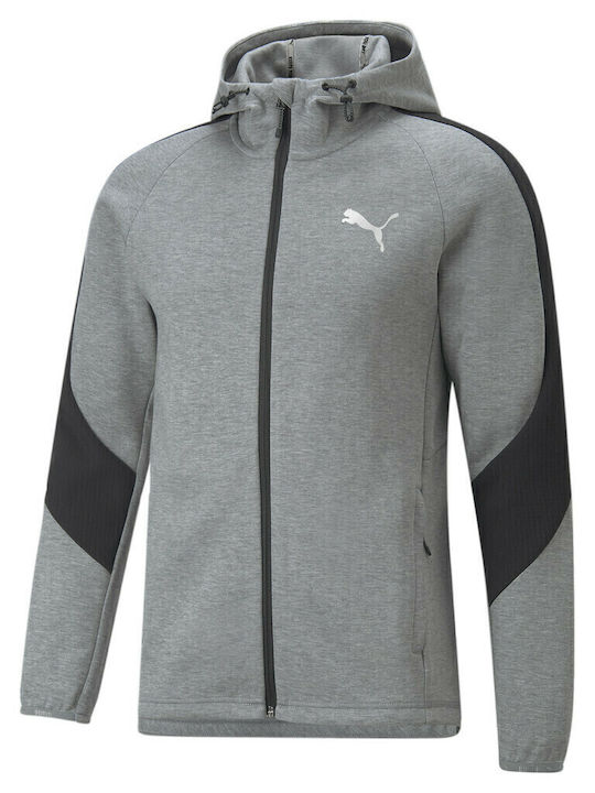 Evostripe Sweatshirt Für Herren Mit Kapuze Grau