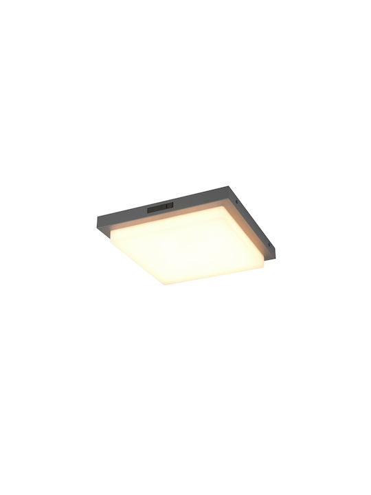 Trio Lighting Bermejo Plafonieră de Tavan Gri