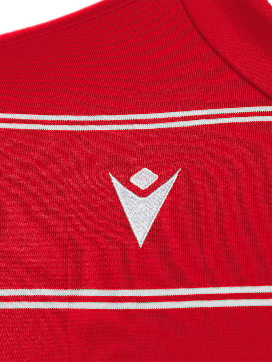 Flamenco Polo Μπλούζα Red/white