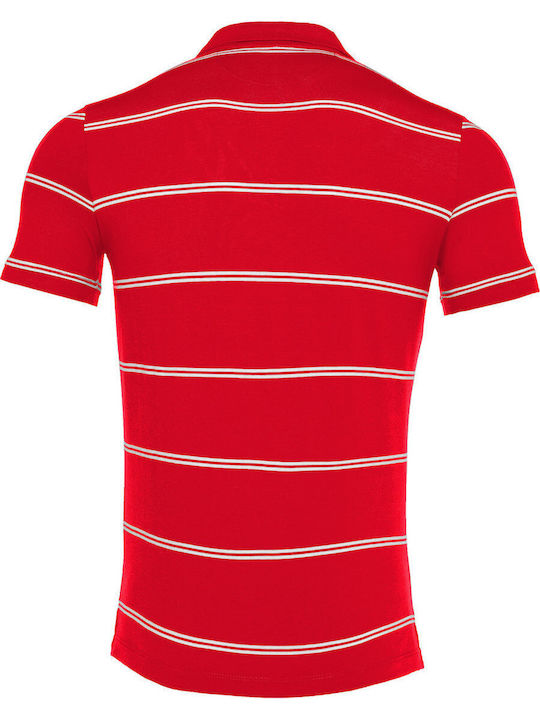 Flamenco Polo Μπλούζα Red/white