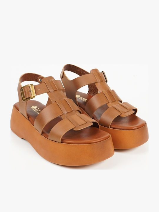 Women's Leather Platform Shoes Tabac Brown