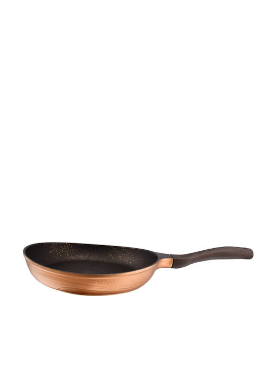 Neoklein Neoklein Cast Aluminum Pan with Non-Stick Interior Coating 24cm