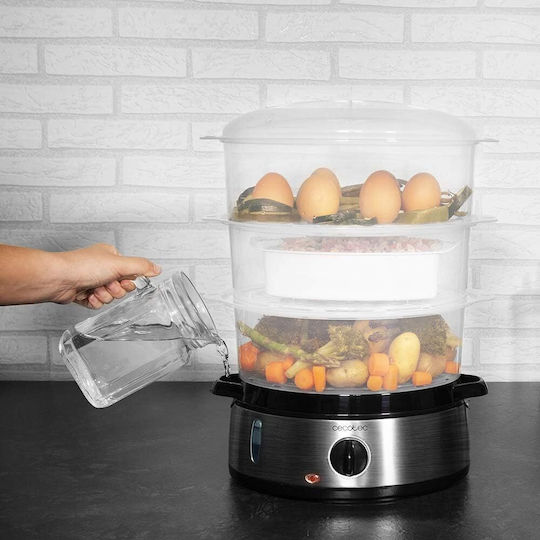 Cecotec Vapovita 3000 124128B Display Steamer 800W